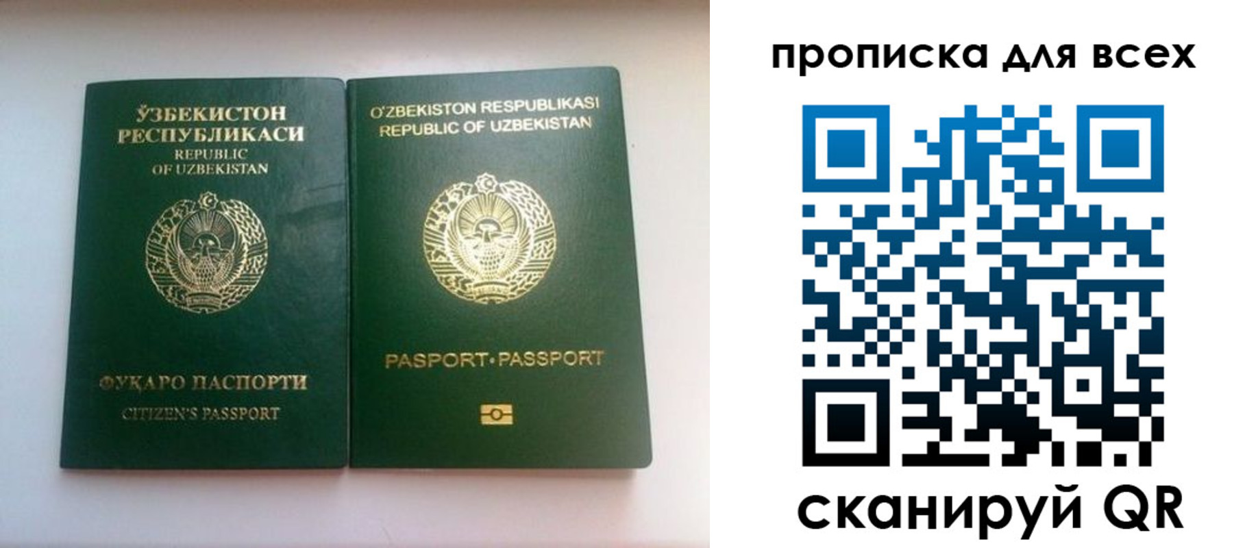 прописка для школы в Муравленко